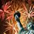 Steven Fricke's profile image