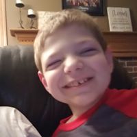 Melissa Sterenberg's profile image