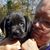 Deb Ackart's profile image