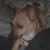 Jake Arellano's profile image
