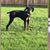 Shelly McCulloch Etheridge's profile image