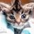 Ruth MacDonald's profile image