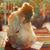 Victoria Parente Gartner's profile image