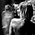 Norma Martino's profile image