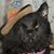 Crystal Malcolm's profile image