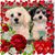 Heather E. Hagen's profile image