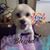 Donna Waltrip Ward's profile image