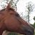 Sylvia De Thample's profile image