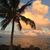 Yasmin Arif's profile image