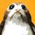 Nick Rodriguez's profile image