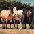 Gena Tharp's profile image