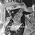 Ashley Lilmonster Ehlers's profile image