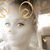 Carey Lynn Sermons's profile image