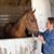 Julie A. Edgar's profile image