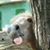 James Hannah's profile image