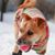 Ruth N Bruce Schenk's profile image