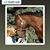 Denise Stander's profile image
