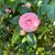 Beth Bartow Bryant's profile image