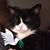 Kathy Self's profile image