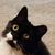 Deanna T-Arbuckle's profile image