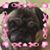Brenda Badzinski-Borden's profile image