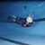 Sharon Broster Walden's profile image