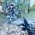 Roslyn Elaine Villalpando's profile image