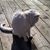 Anissa Anniss's profile image