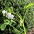 Sandra Buchanan's profile image