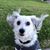 Donna Tautges's profile image
