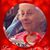 Sue Durkiewicz-Donatelli's profile image