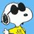 Daniel Kuhl's profile image