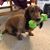Nancy Longo's profile image