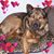 Debbie Heaton Curtis's profile image