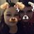 Carrie Gasinski's profile image