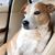Linda Slavin-Laguna's profile image