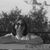 Donna Crotty's profile image