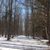 Judy Pratt Chilson's profile image