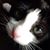 Kathy Moon's profile image