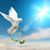 Colette Howarth Stead's profile image