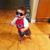 Carlos Rachel's profile image