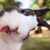 Sharlande Smith's profile image