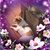 AnnMarie Swidersky's profile image
