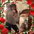 Alexandra Marie Newbold's profile image