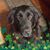 Pat Lyons Kerkman's profile image