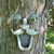 Randy Lawrence's profile image