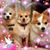 Laureana Bransford's profile image