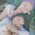 Damii Bautt's profile image
