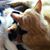 Jerry Woolard's profile image