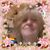 Patricia Maguire Connelly's profile image